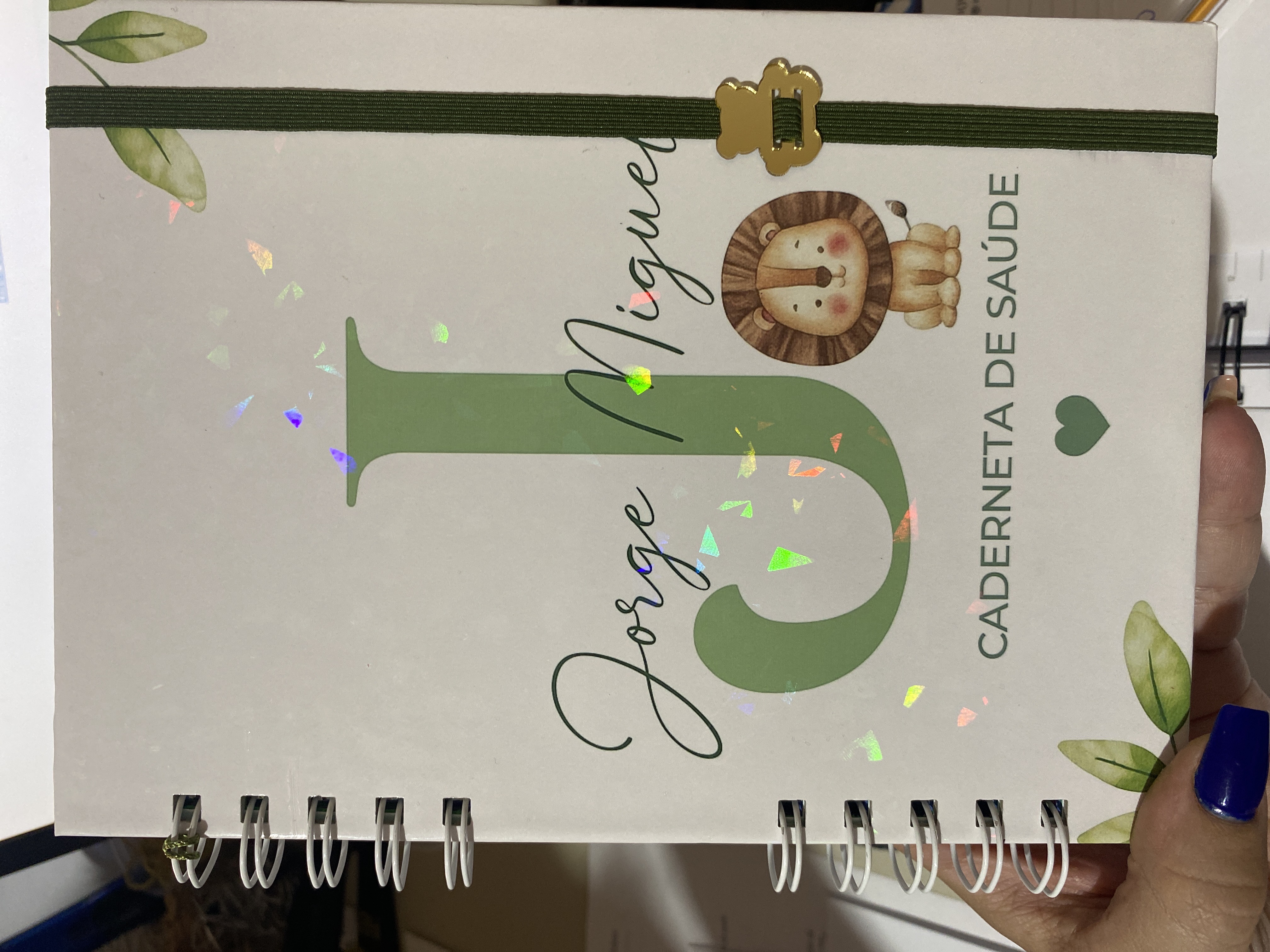 Caderneta saúde  completa